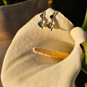 1b8c15b2 b2e5 4a73 94fa 2dc8640ec41e